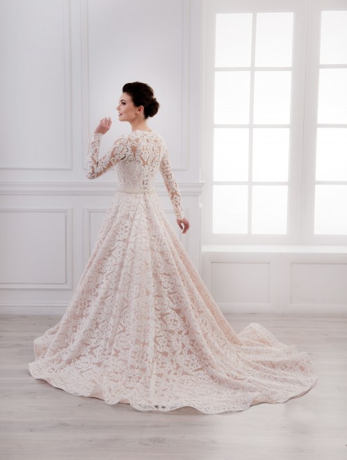 https://elisebride.ro/images/stories/virtuemart/product/VWD_IM_02_c54.jpg
