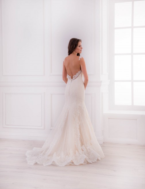 https://elisebride.ro/images/stories/virtuemart/product/VWD_TM_36_c89.jpg