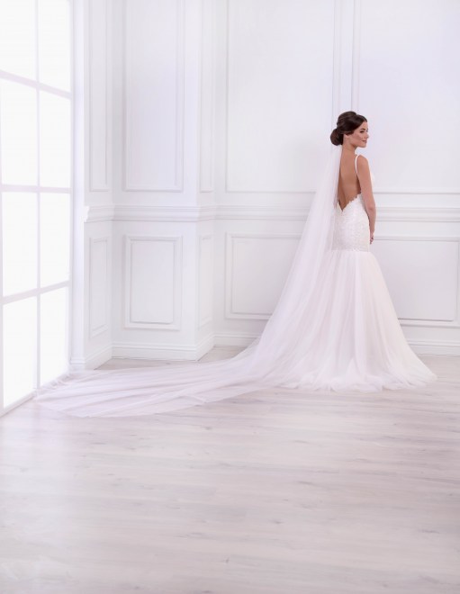 https://elisebride.ro/images/stories/virtuemart/product/VWD_TM_38_c.jpg